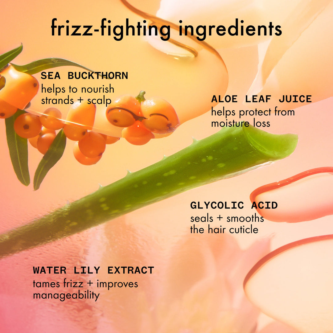 amika Smooth Over Frizz-Fighting Treatment - key ingredients