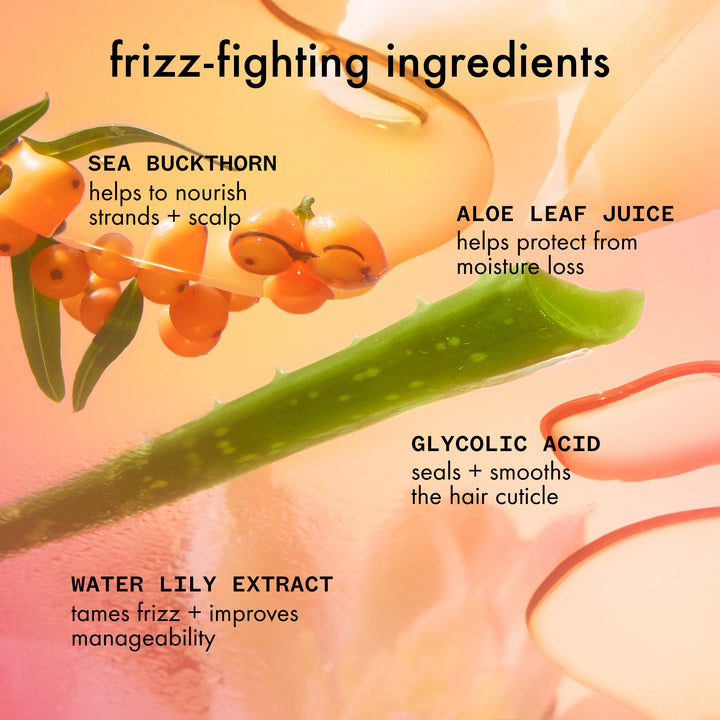 amika Smooth Over Frizz-Fighting Treatment - key ingredients