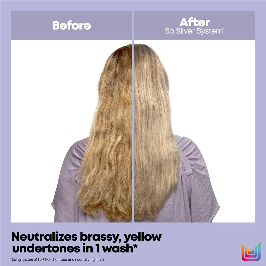 Matrix So Silver Holiday Duo - before and after on brassy blonde hair