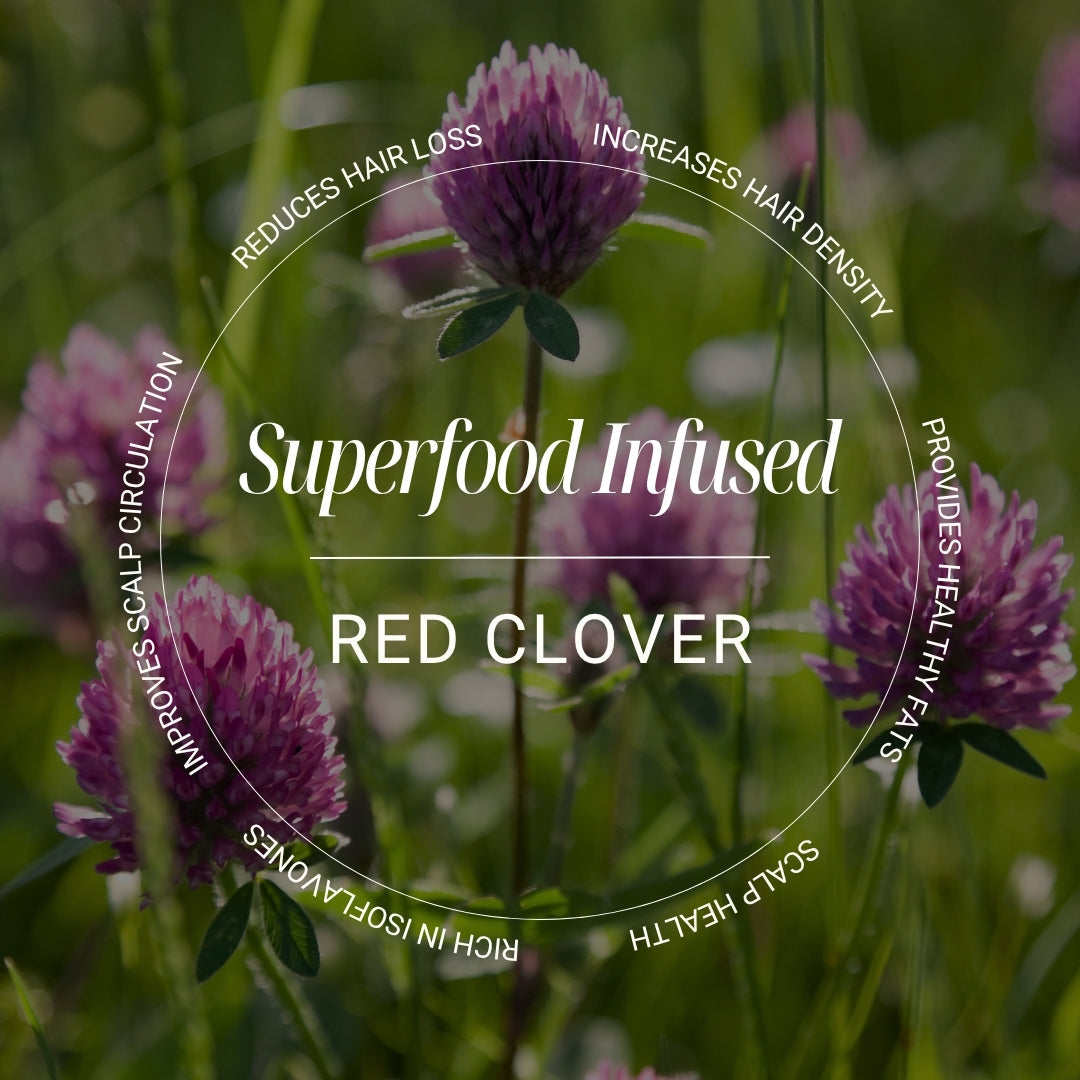 Biotop 04 Shedding Shampoo - red clover key ingredient