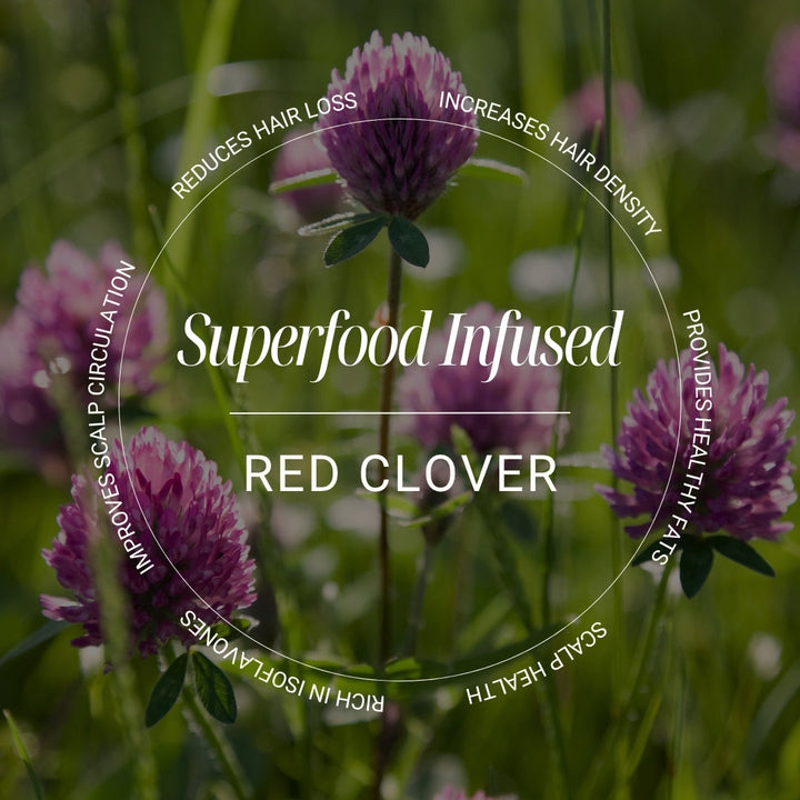 Biotop 04 Shedding Shampoo - red clover key ingredient