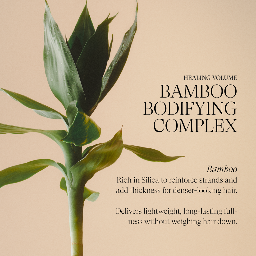 L'ANZA Healing Volume Final Effects - Bamboo Bodifying Complex