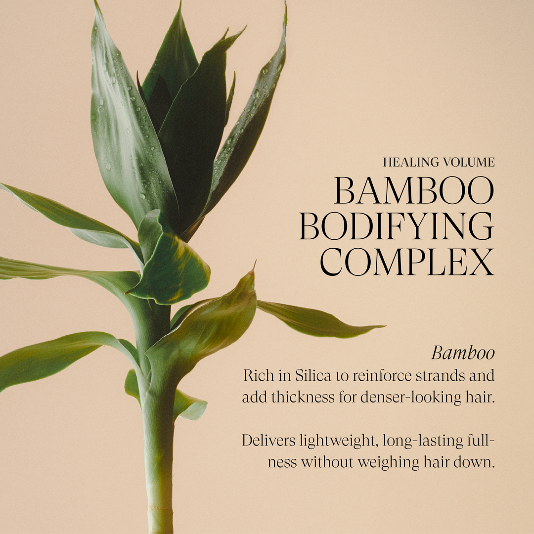 L'ANZA Healing Volume Zero Weight Gel - Bamboo Bodifying Complex