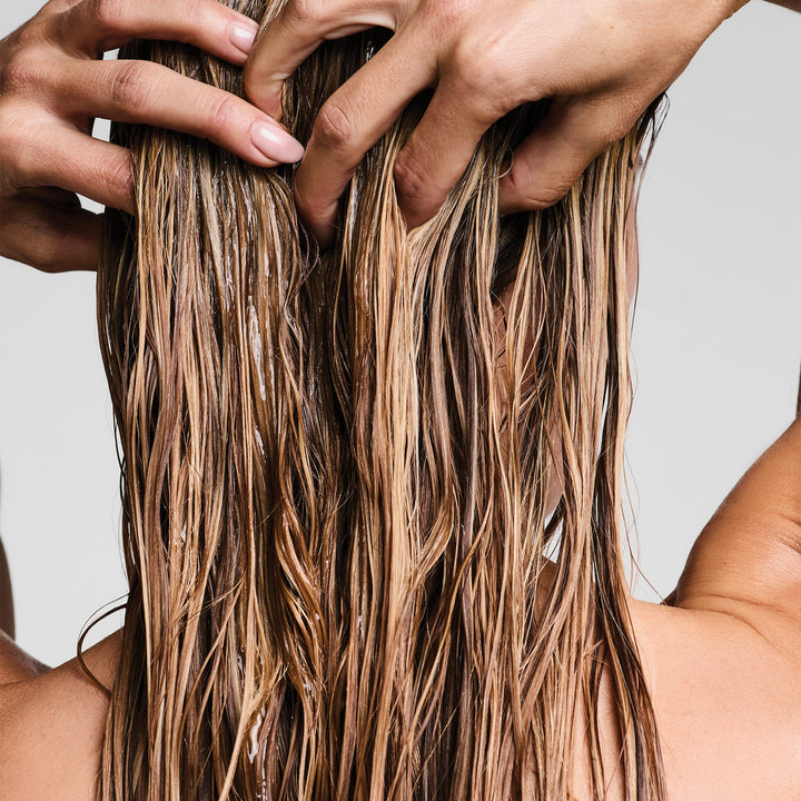 Paul Mitchell Clear Essential Conditioner - conditioner worked through wet hair