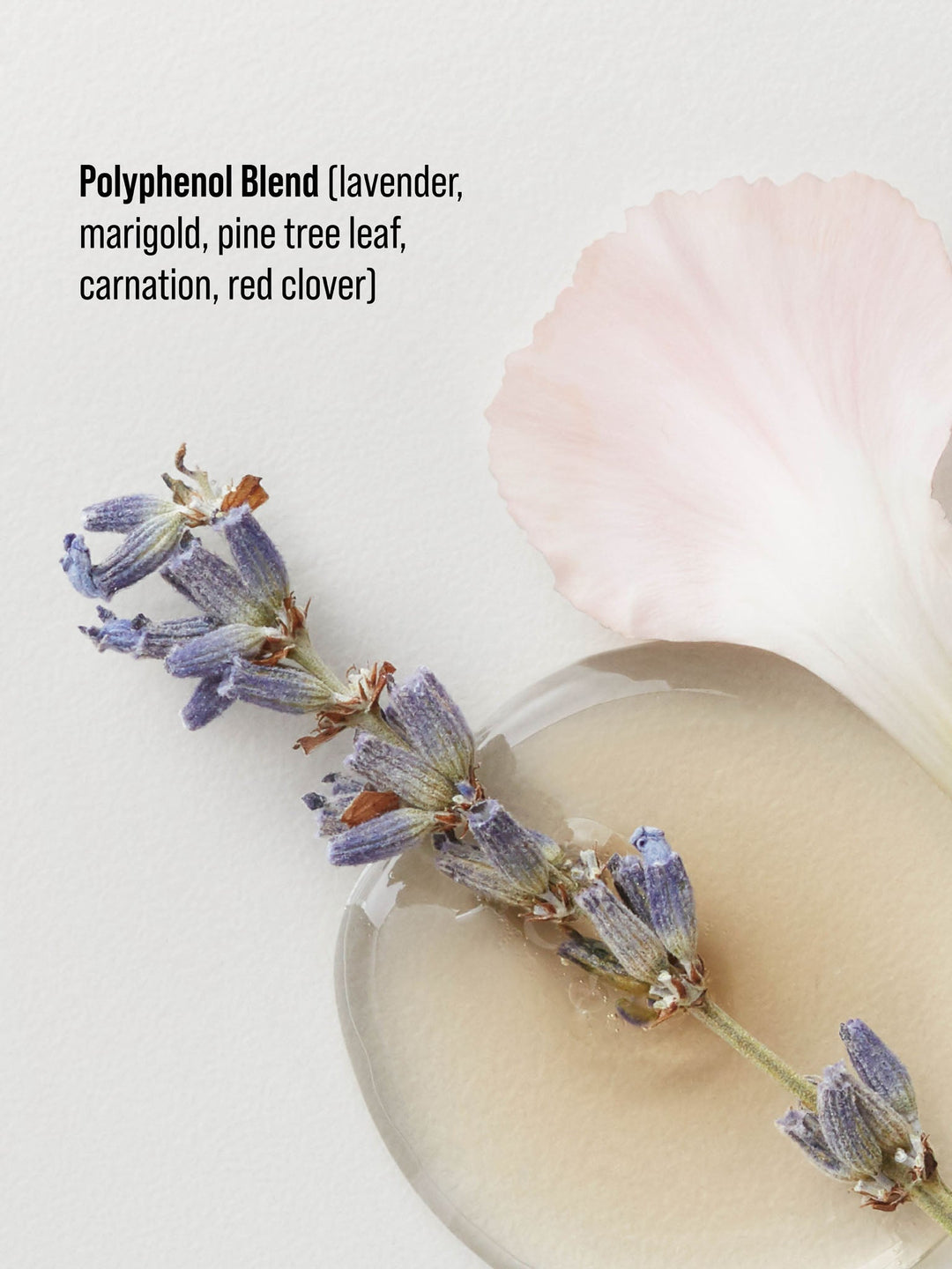 AG Deflect Fast-Dry Heat Protection - polyphenol blend of lavender, marigold, pine tree leaf, carnation and red clover
