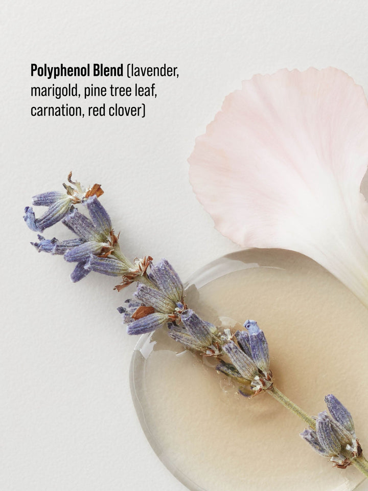 AG Deflect Fast-Dry Heat Protection - polyphenol blend of lavender, marigold, pine tree leaf, carnation and red clover