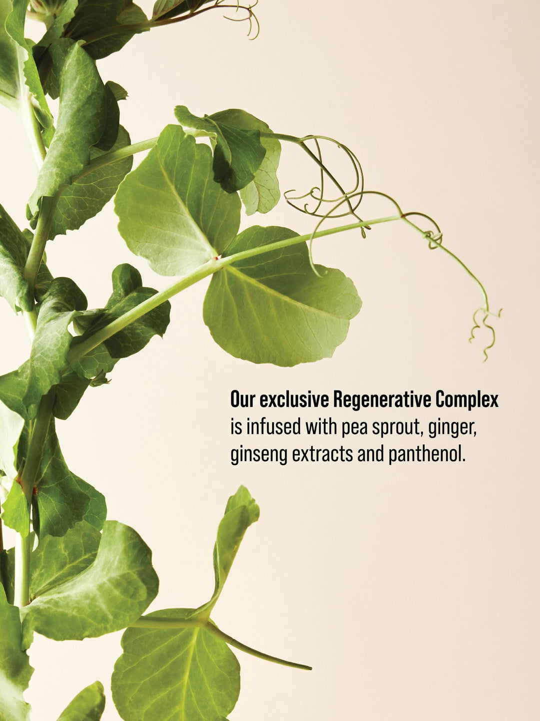 AG Spray Body Soft Hold Volumizer - Regenerative Complex with pea sprout, ginger and ginseng