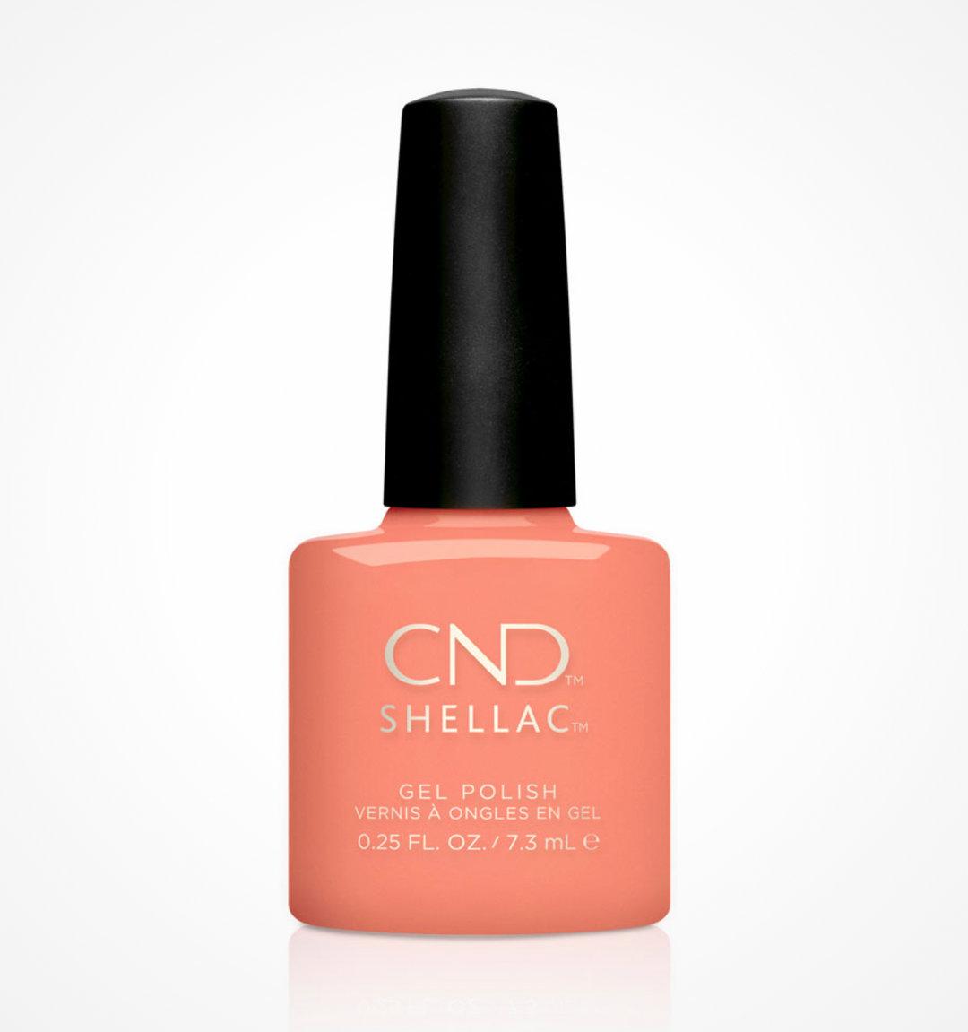 CND - Shellac - Uninhibited