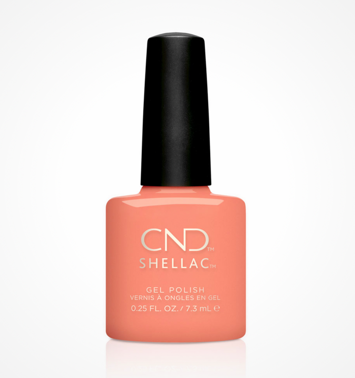 CND - Shellac - Uninhibited