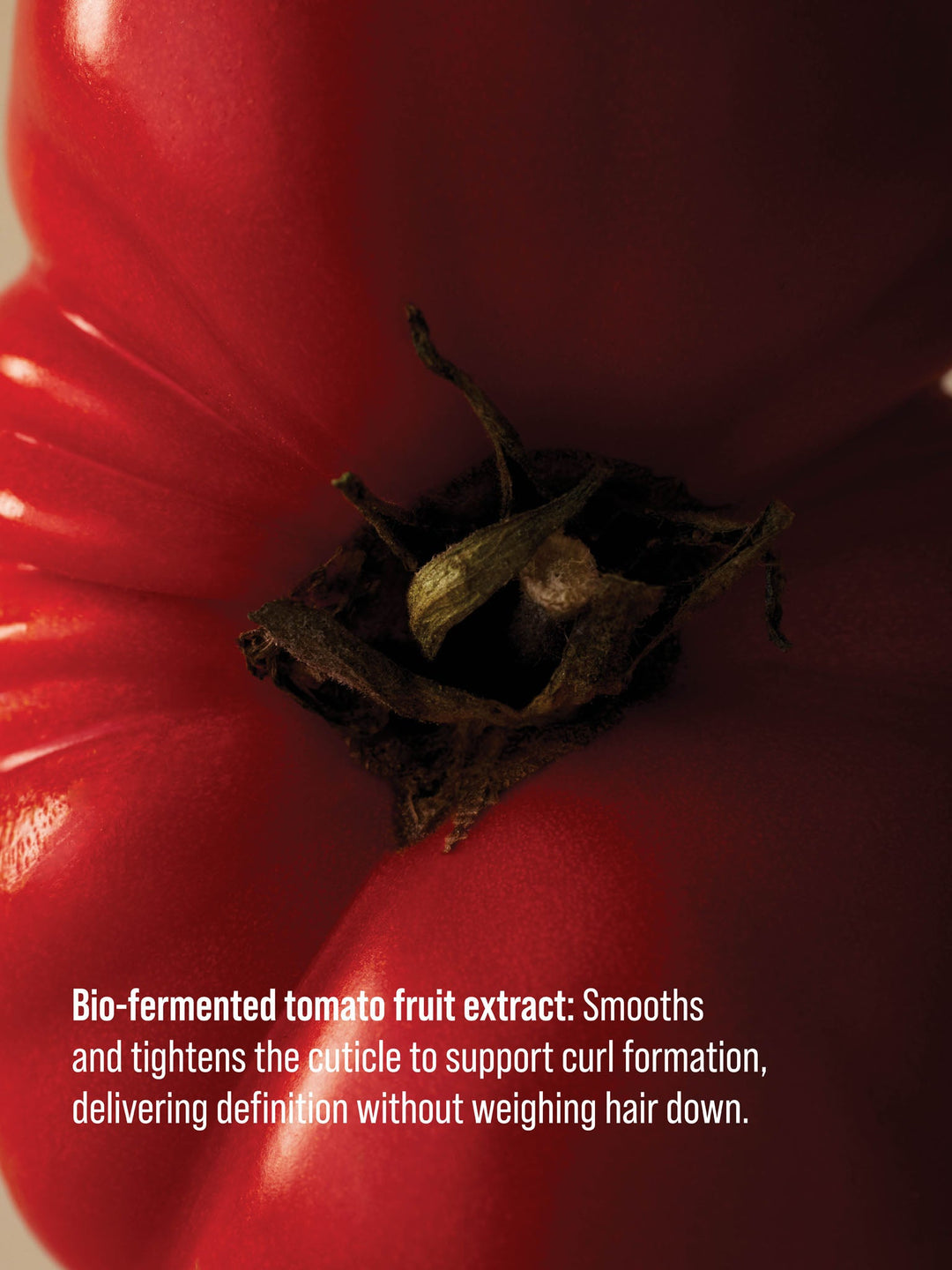 AG Beach Bomb Wave-Enhancing Cream - bio-fermented tomato fruit extract in the Curl Creating Complex