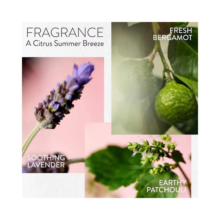 Pureology Hydrate Holiday Kit - lavender, bergamot and patchouli fragrance