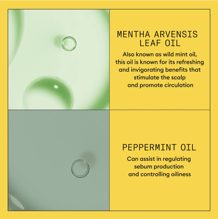 Nioxin 1 - Scalp + Hair Conditioner - Hair Thickening Conditioner for Natural/Untreated Hair