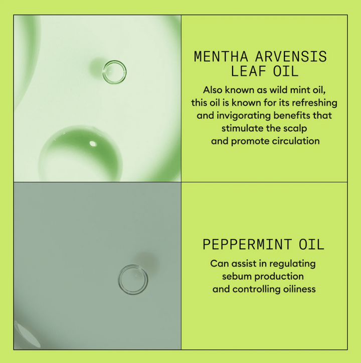 Nioxin 2 - Scalp + Hair Conditioner - Hair Thickening Conditioner for Progressed Thinning