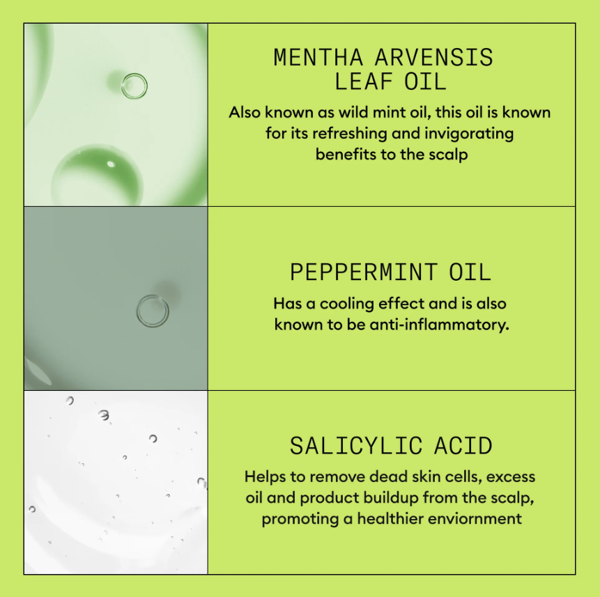 Nioxin 2 - Scalp + Hair Shampoo - Hair Thickening Conditioner for Progressed Thinning