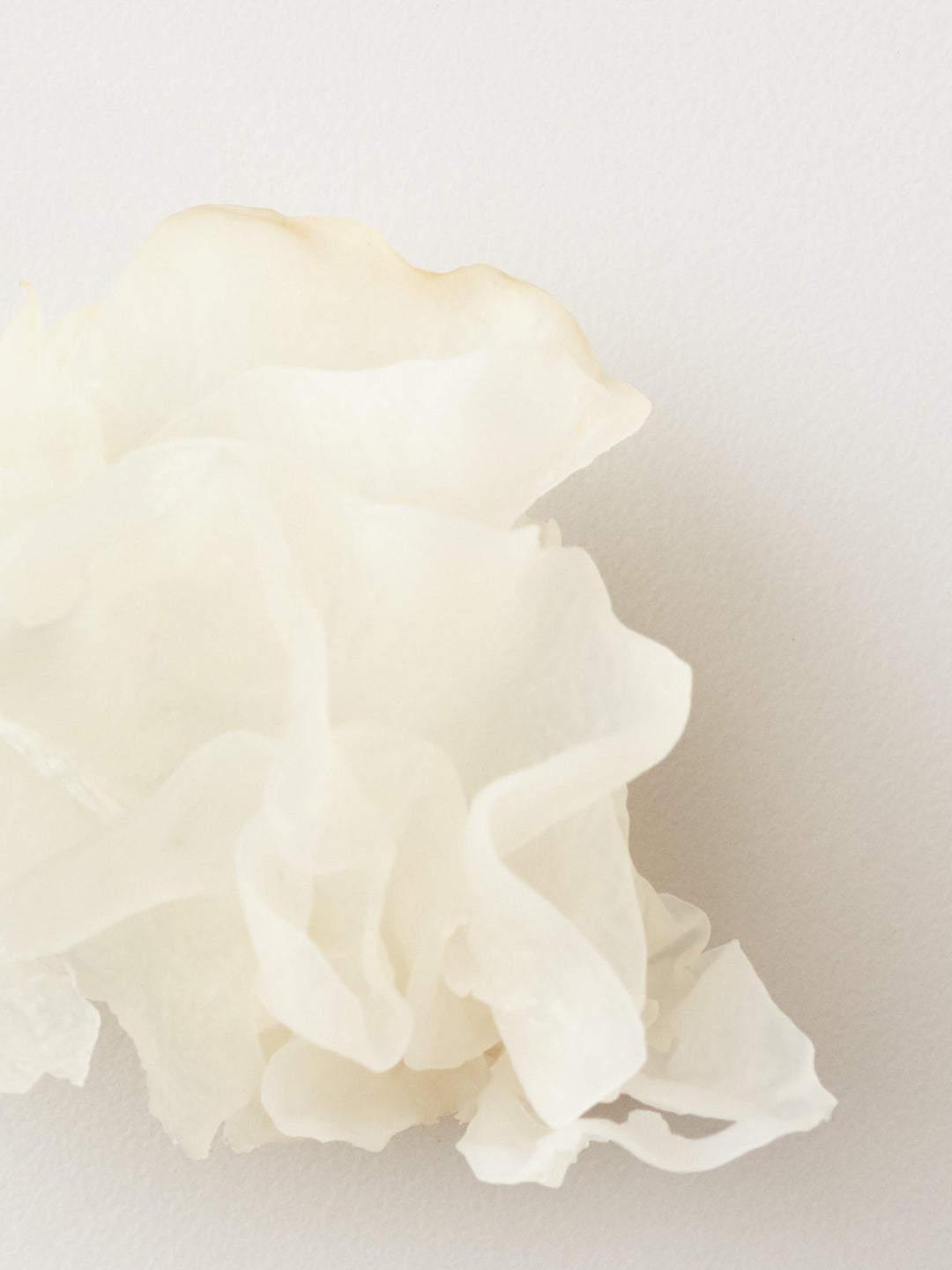 AG Nourish Snow Mushroom Moisture Mask - snow mushroom key ingredient