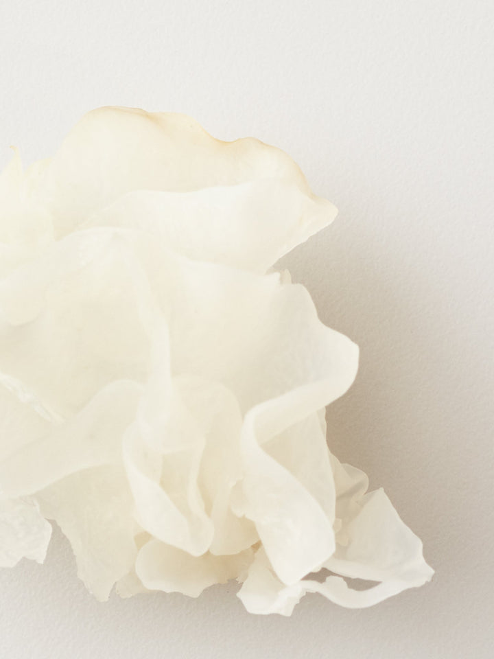 AG Nourish Snow Mushroom Moisture Mask - snow mushroom key ingredient