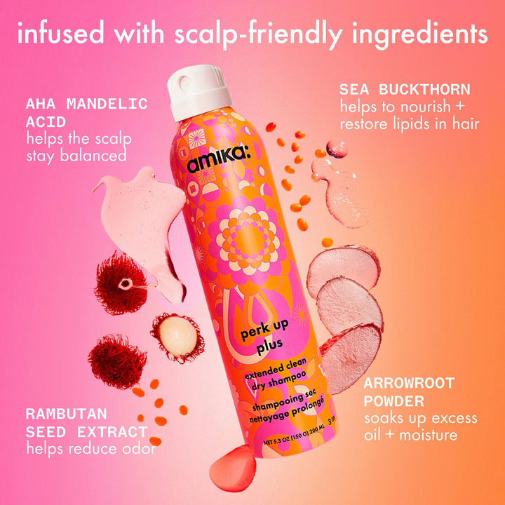 Amika Perk Up Plus Extended Clean Dry Shampoo - key ingredients