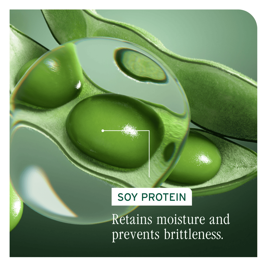 Biolage Volume Boost Holiday Duo - soy protein key ingredient