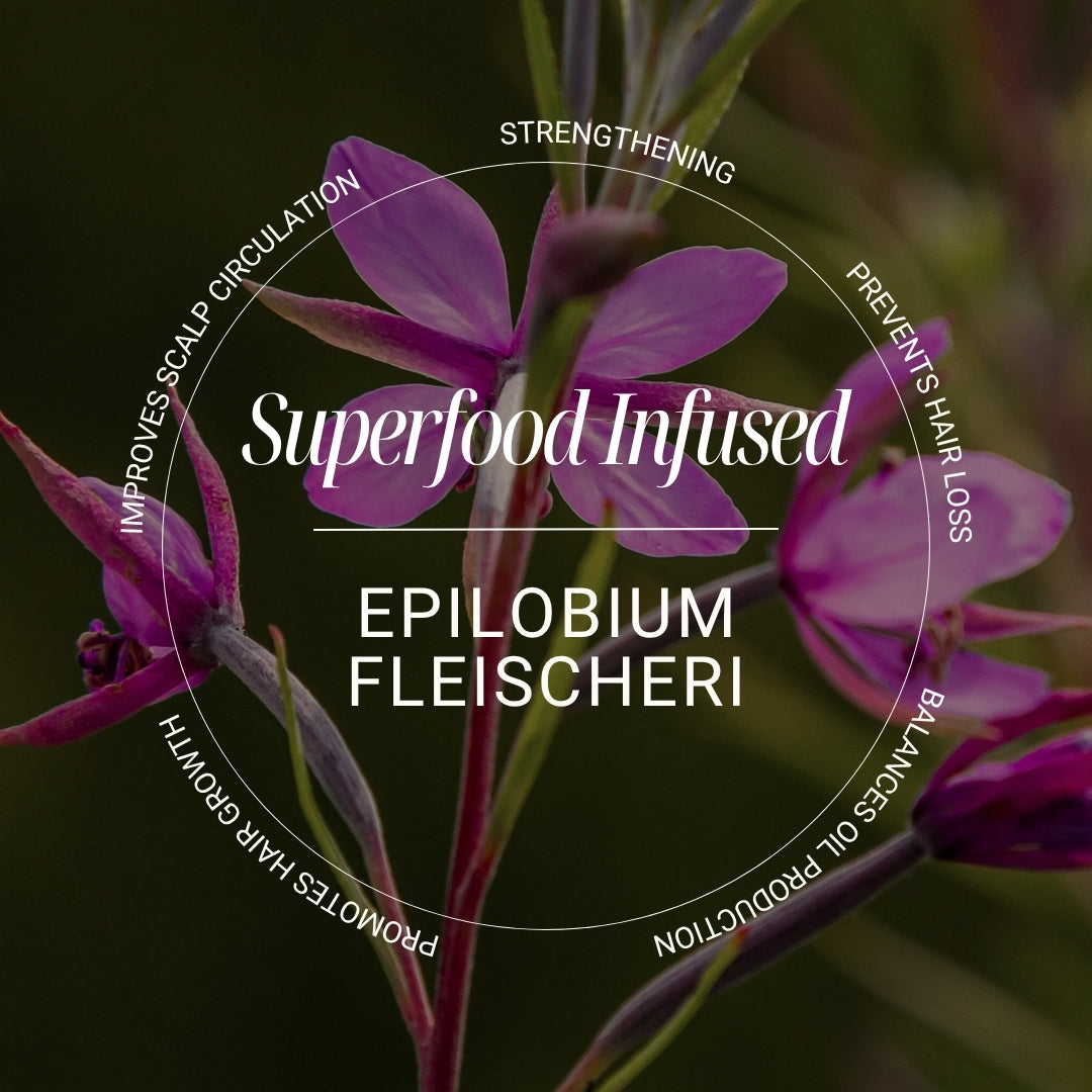 Biotop 09 Clarifying Shampoo - epilobium fleischeri ingredient