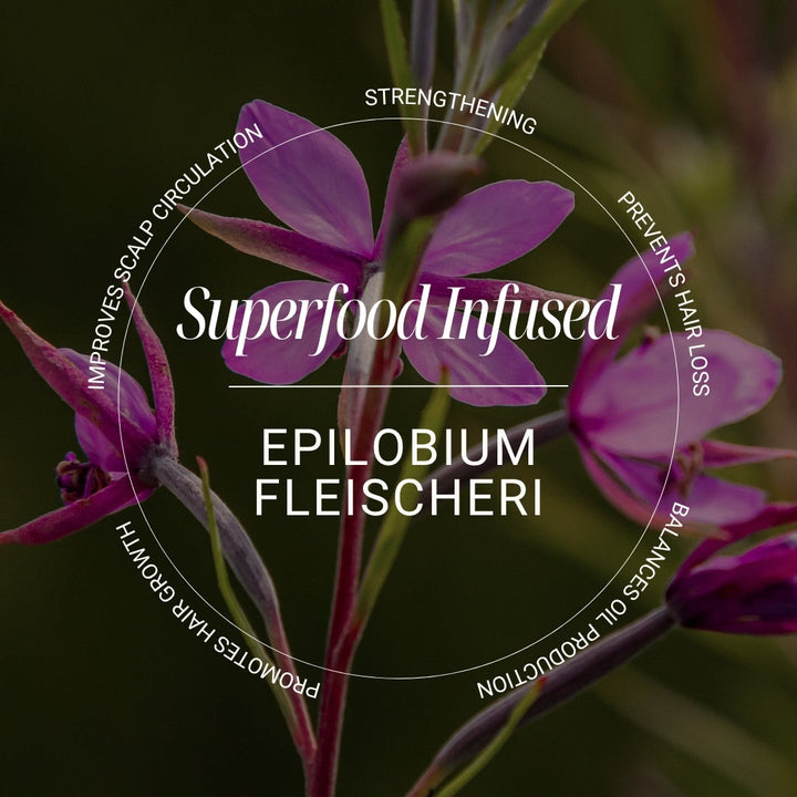 Biotop 09 Clarifying Shampoo - epilobium fleischeri ingredient
