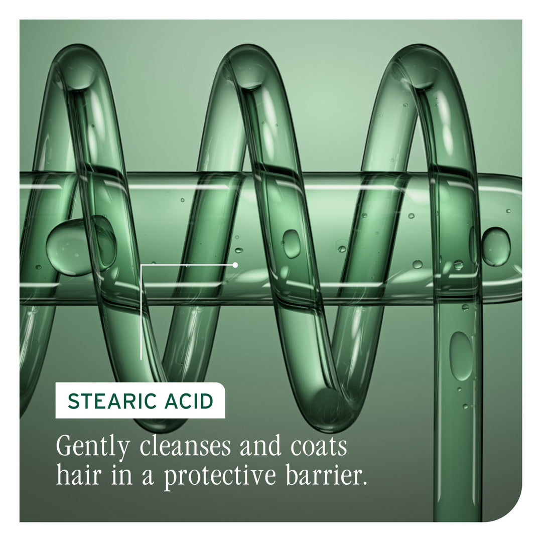 Biolage Color Last Conditioner - stearic acid key ingredient