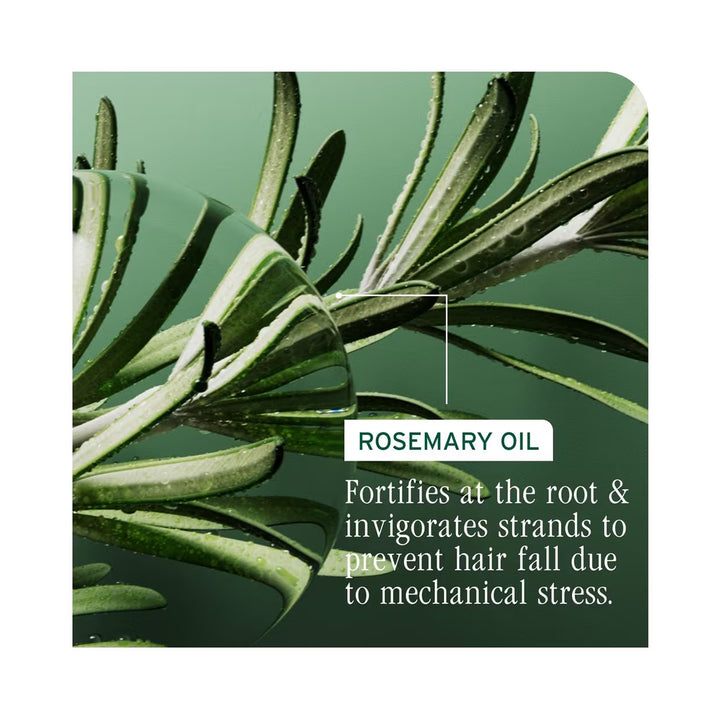 Biolage Full Rescue Invigorating Scalp Serum - rosemary oil benefits