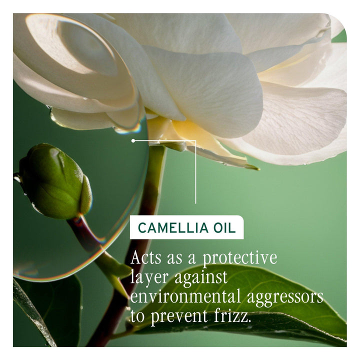 Biolage Smooth Proof Conditioner - camellia oil