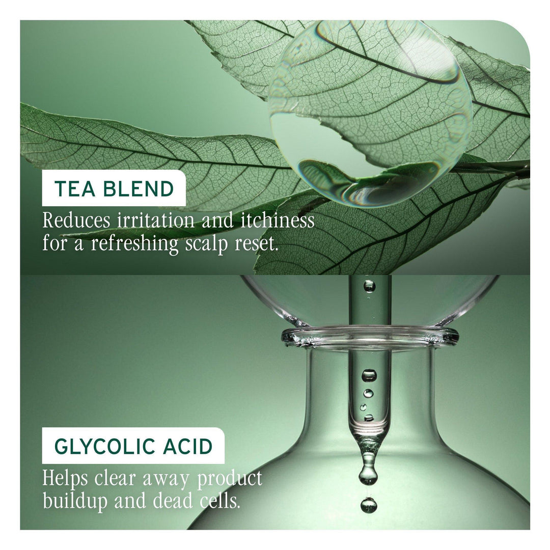 Biolage Scalp Sync Clarifying Shampoo - key ingredients