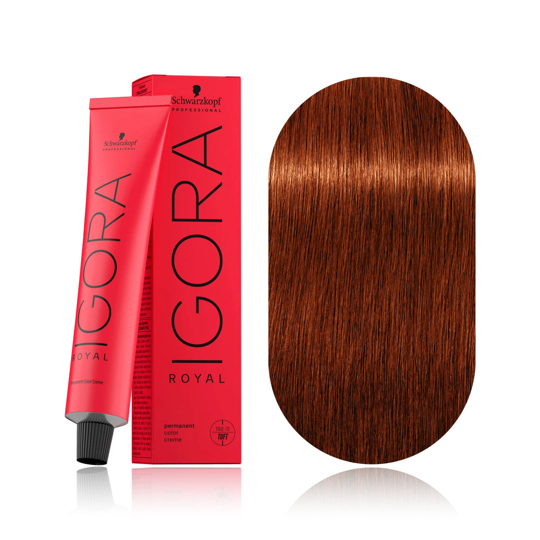Schwarzkopf IGORA Royal 6-77 Dark Blonde Copper Extra permanent hair color tube, box and hair swatch