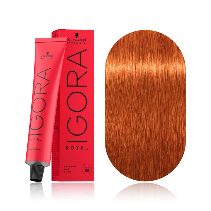 Schwarzkopf IGORA Royal 8-77 Light Blonde Copper Extra permanent hair color tube, box and hair swatch