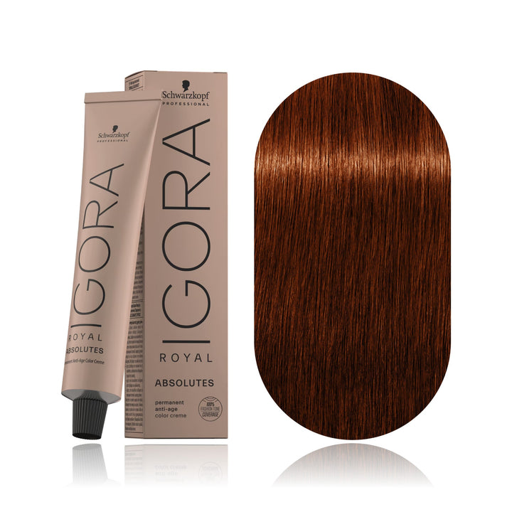 Schwarzkopf IGORA Royal Absolutes 6-70 Dark Blonde Copper Natural permanent hair color tube, box and hair swatch