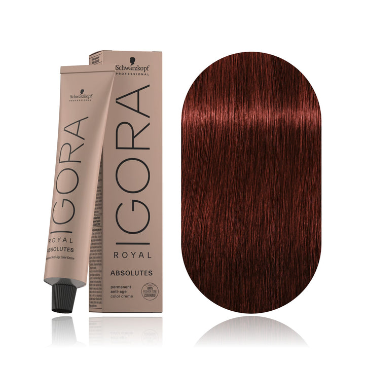 Schwarzkopf IGORA Royal Absolutes 6-80 Dark Blonde Red Natural permanent hair color tube, box and hair swatch