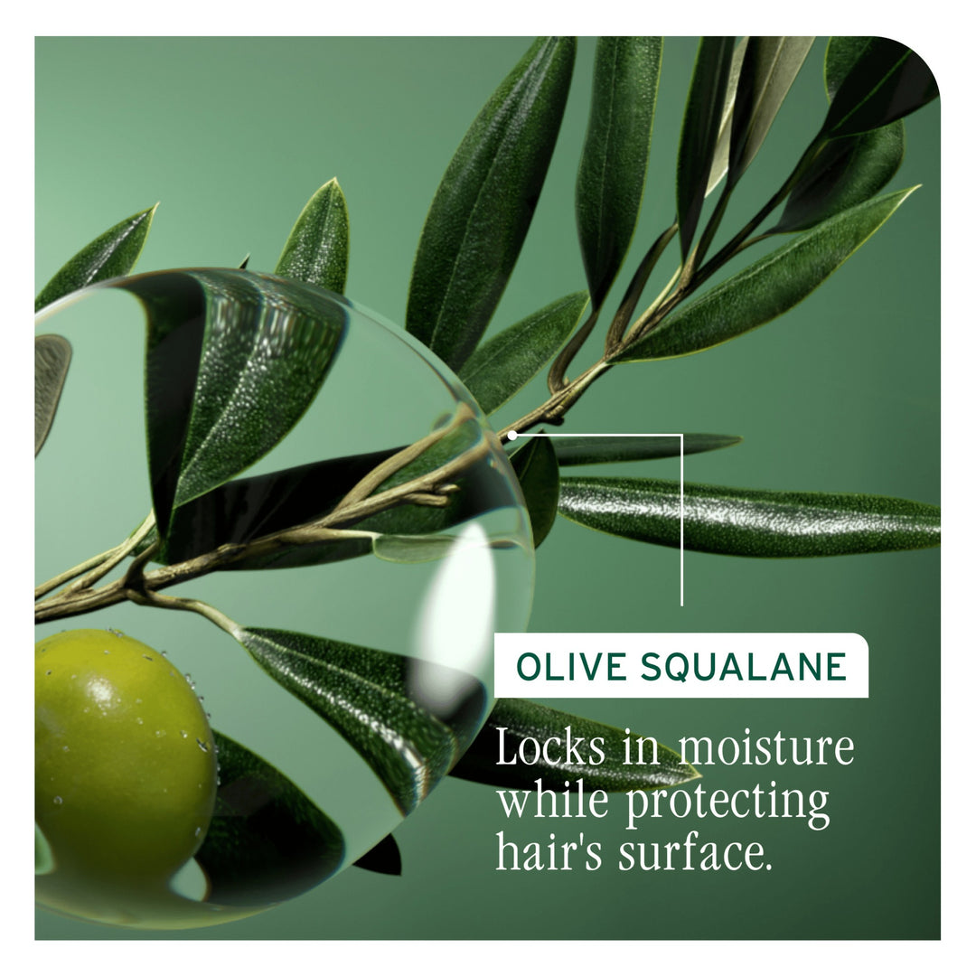 Biolage Strength Recovery Conditioner - olive squalane